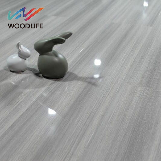 Modern 8mm and 12mm Waterproof Parquet Laminate Flooring